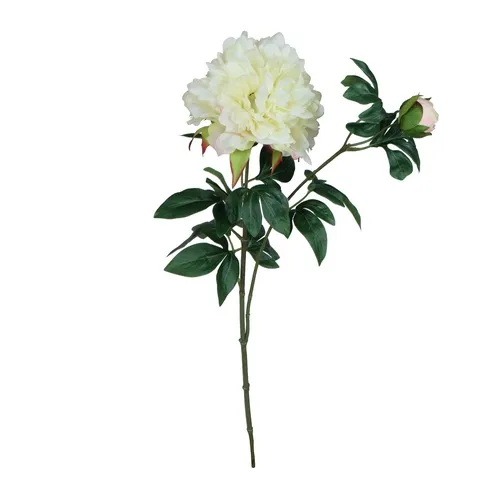 Pivonka - 65 cm GK227-white